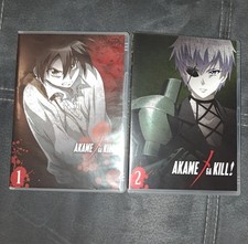 Anime Akame Ga Kill