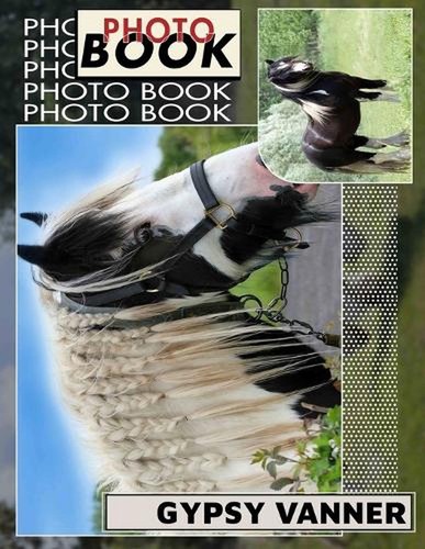 Gypsy vanner photo book - vanner,