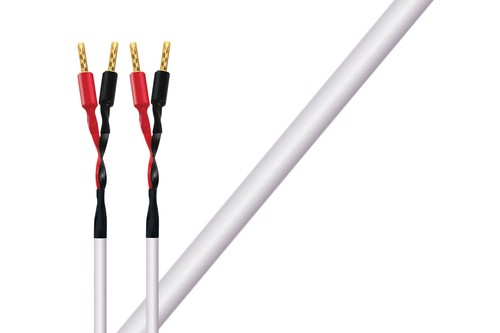 Wireworld stream - stream, 10