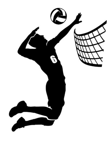 Volleyball netz satz essbar - volleyball,