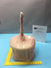 Semitool 500U0041-01 Rotor