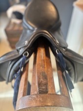 Prestige Melody K Dressage