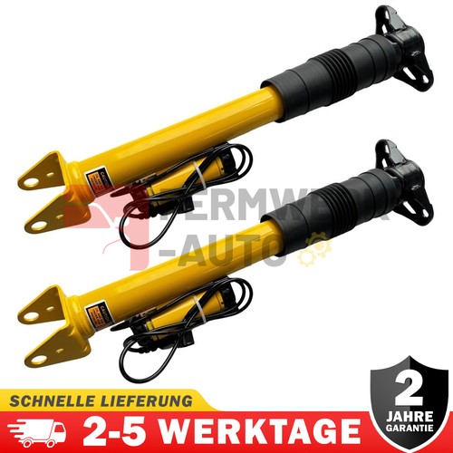 Stoßdämpfer hinten - 2x,