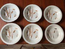 Suppenteller Teller Midwinter Stonehenge Wild Oats    23 cm