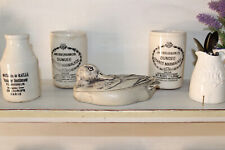 Comoy's of London Faux Scrimshaw Antik Stil Ente Schmuckschatulle, Topf, Skulptur