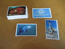 5 TEGUT STICKER - ABENTEUER WELTMEERE -