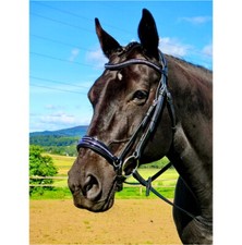 FSS DROP TRANSE Kristallbling