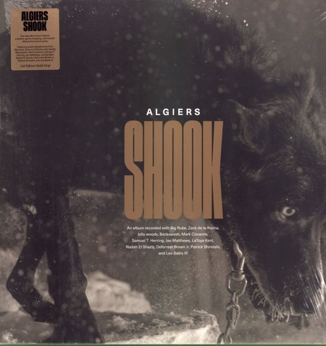 Algiers shook doppel vinyl - shook,