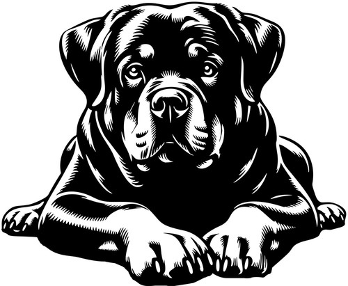 Rottweiler aufkleber - aufkleber,