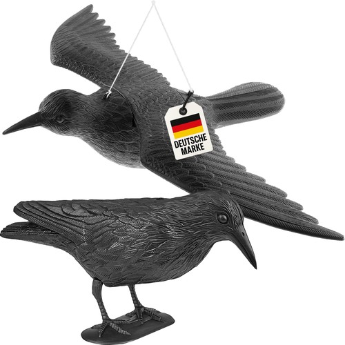 Vogelschreck krähe rabe - vogelschreck,