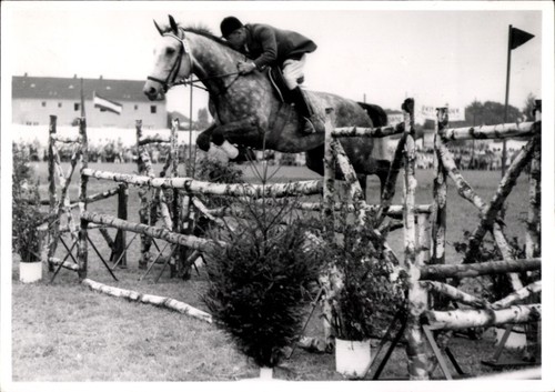 Foto springreiten sprung - foto, springreiten,