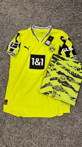 Bvb borussia dortmund - borussia,