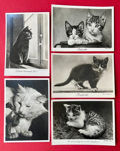 Foto künstler 4x von - 4x,