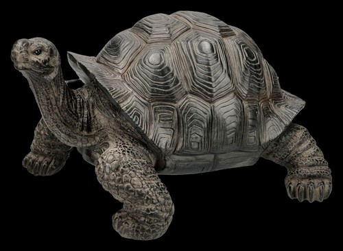 Gartenfigur schildkröte - schildkröte,