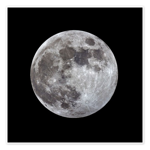 Poster vollmond monarchc - vollmond,