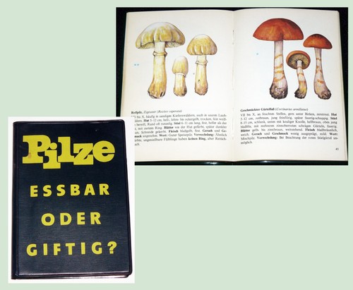 Pilze essbar oder - pilze,