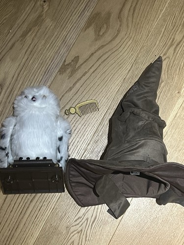 Harry potter hedwig - harry,