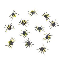 Tarantel spinne schwarz - tarantel,