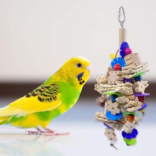 Papagei vogel kauspielzeug - papagei,