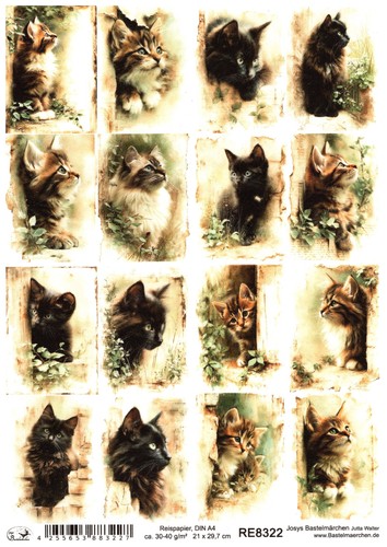 Reispapier din decoupage - reispapier, a4