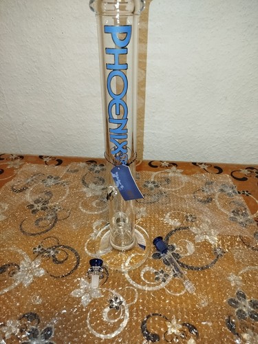 Phoenix star straight - phoenix,