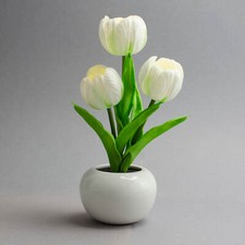 X4-LIFE LED Tulpen im