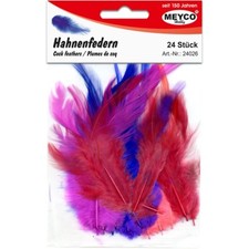 HAHNENFEDERN 24 STÜCK PACKUNG HAHNEN-FEDERN ZUM BASTELN BUNT