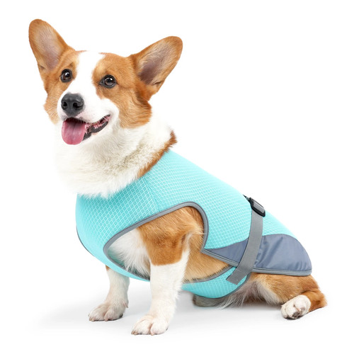 Kühlweste hund atmungsaktiv - hund,