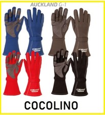 SPEED AUCKLAND Formel 1 Kart