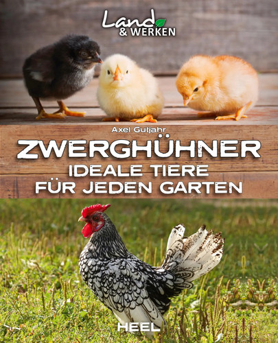 Zwerghühner ideale tiere - ideale,
