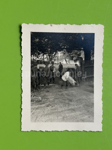 2024 207 foto mot - foto,