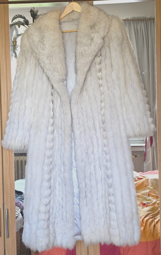 Saga fox blaufuchs echt - saga,