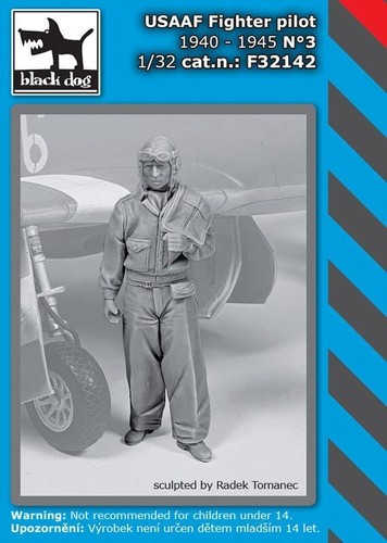 F32142 usaaf jagdflieger - f32142,,