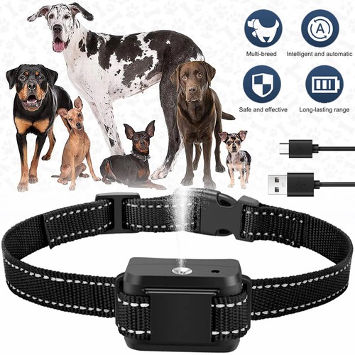 Anti bell halsband hunde - anti,