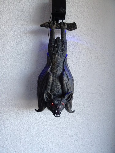Schwingende fledermaus 60cm - schwingende,