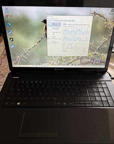 Laptop packard bell easynote - packard,