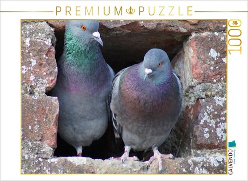 Calvendo puzzle tauben - calvendo,