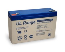 Blei-Gel-Akku 6V, 12Ah inkl. H-Tronic AL-300 Pro Bleiladegerät - Set