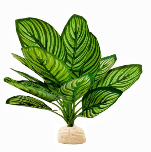 Flmoving reptile terrarium - flmoving,