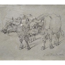 Johann Nepomuk Rauch Ochsengespann Tierstudie signiert Bleistift Zeichnung 1845