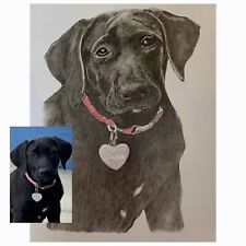 Tierportrait Portrait zeichnen