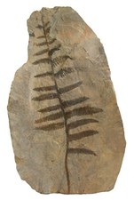 Perm  Große Platte mit