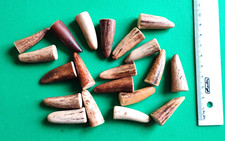 Echt Hirschhorn 20 Stück schlanke - Geweih Spitzen 35 mm -Schnitt: ca. 1 1-14 mm