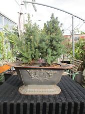 Große historische englische , dekorative Jardiniere / Pflanzschale aus Gusseisen