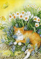 INGE LÖÖK  / KÄTZCHEN IN