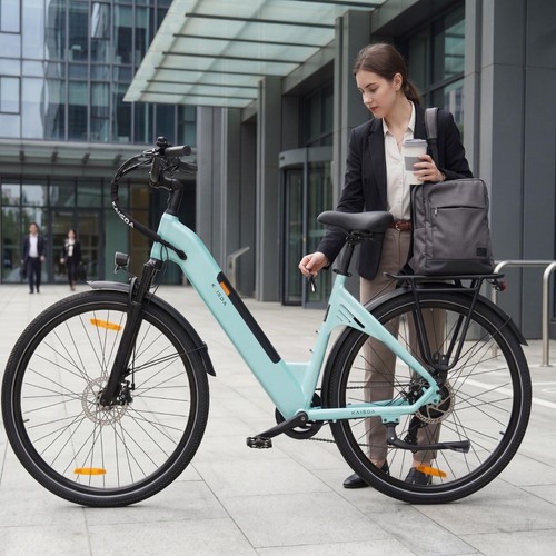 Zoll bike 250w - 28,