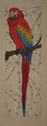 Roter ara martin erich philipp - martin,