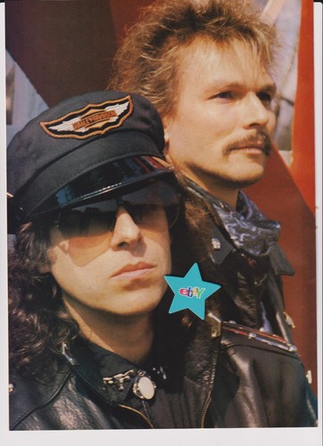 Scorpions poster din - poster, a4