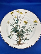 Villeroy &