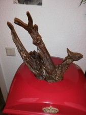 Alte Wurzel gerade geschnitten und lackiert Deko Terrarium Basteln